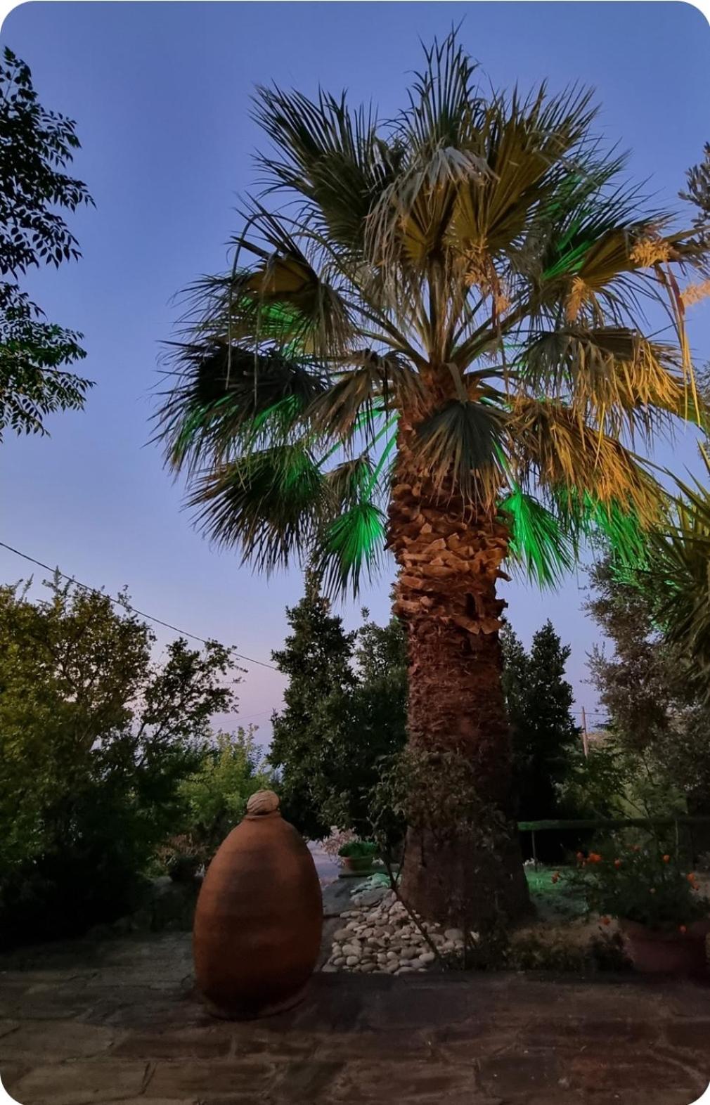 Spitikariotiko Ikarian Cottage Raches  المظهر الخارجي الصورة